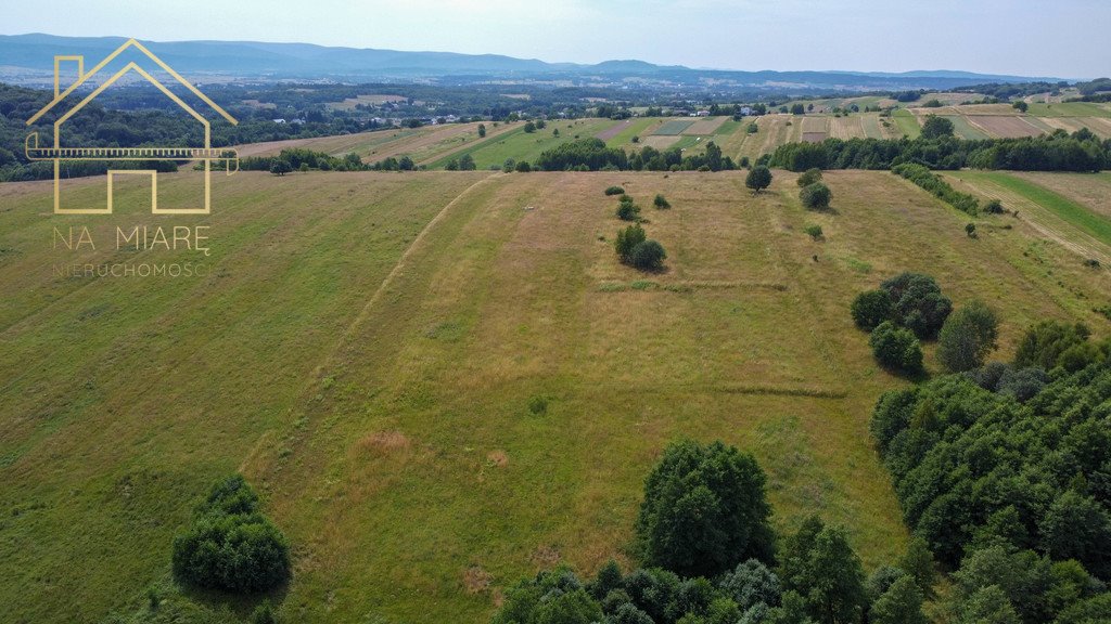 Działka rolna na sprzedaż Łężyny  1 500m2 Foto 8