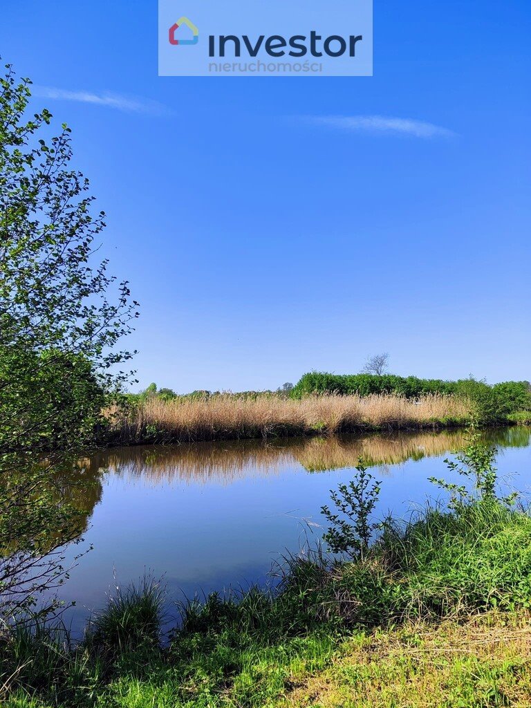 Działka inna na sprzedaż Sokołowice  30 000m2 Foto 5