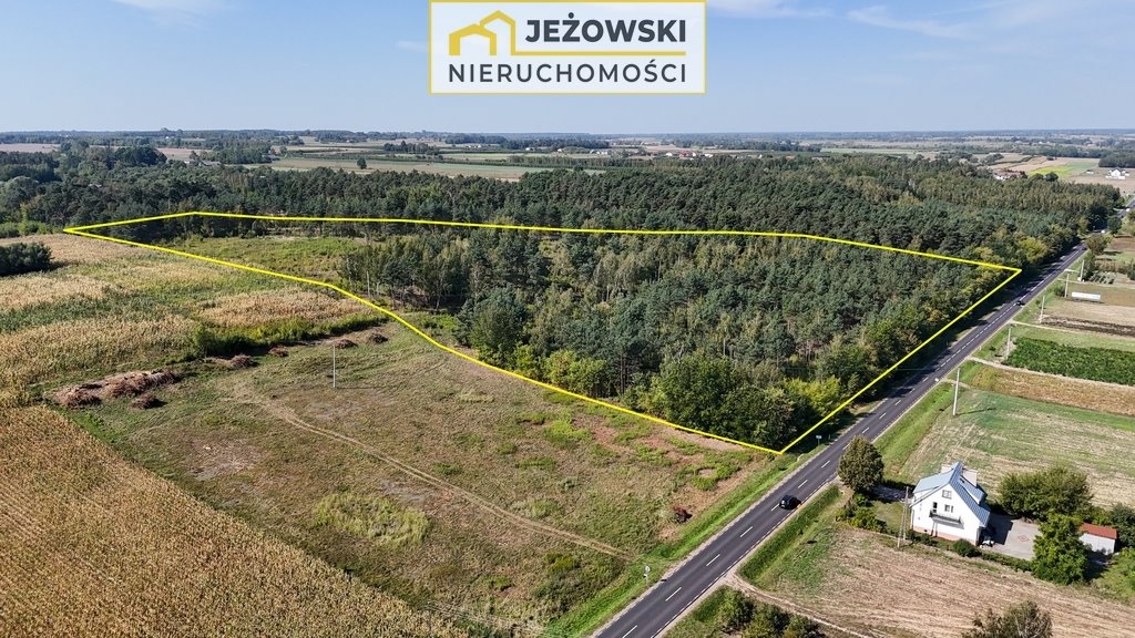 Działka budowlana na sprzedaż Łaziska  59 200m2 Foto 4