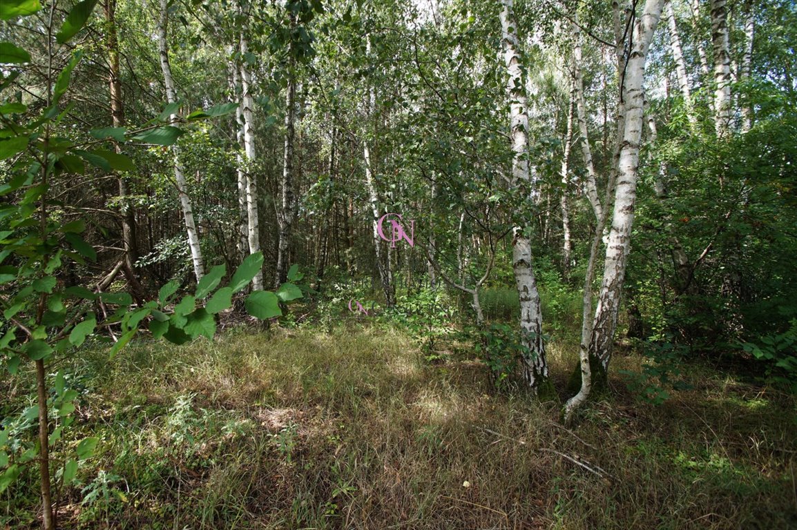 Działka budowlana na sprzedaż Zawały  4 000m2 Foto 12