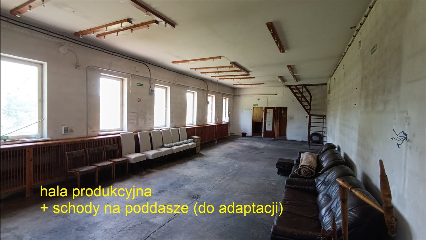 Magazyn na sprzedaż Mostki  7 000m2 Foto 5