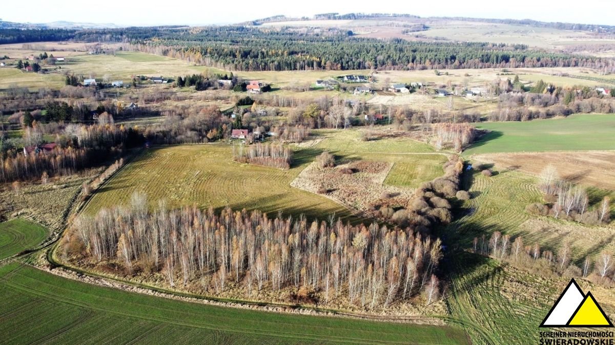 Działka budowlana na sprzedaż Wolimierz  6 000m2 Foto 6