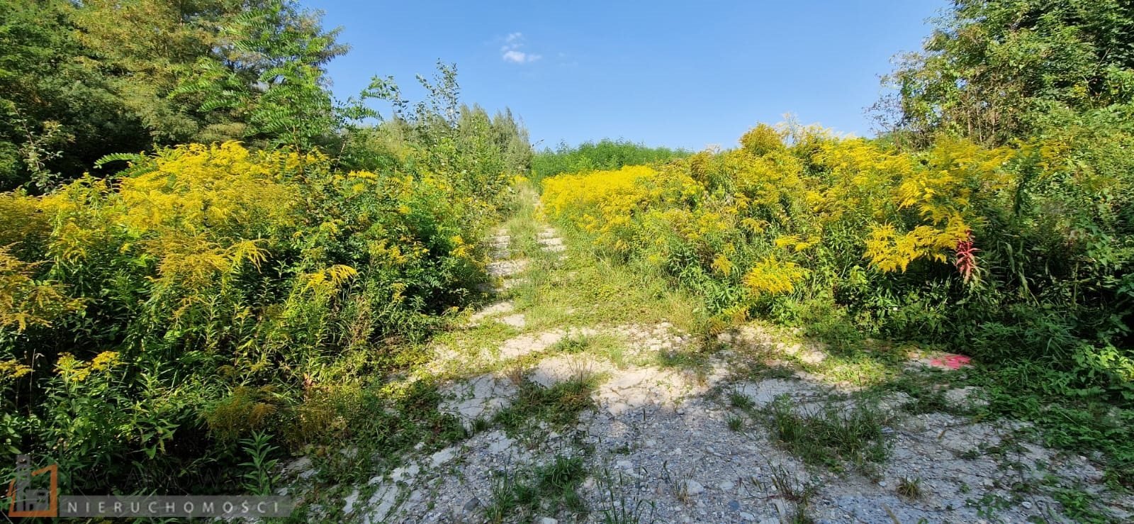 Działka budowlana na sprzedaż Kraków, Prądnik Biały, Tonie  13 900m2 Foto 4