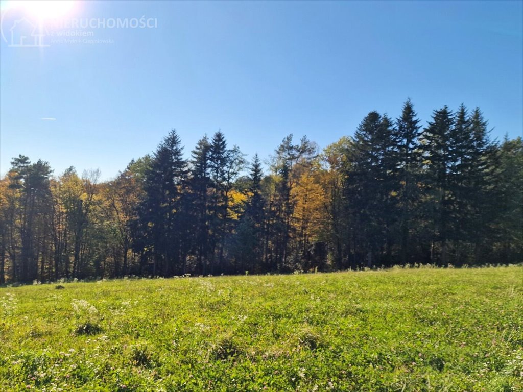 Działka budowlana na sprzedaż Błażkowa  2 559m2 Foto 5