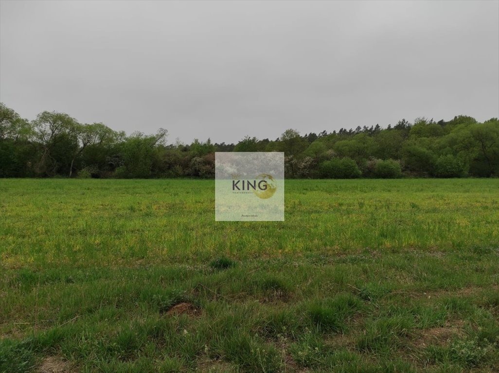 Działka 1271 m² pod zabudowę w Siedlicach, media w drodze Siedlice  1 271m2 Foto 1