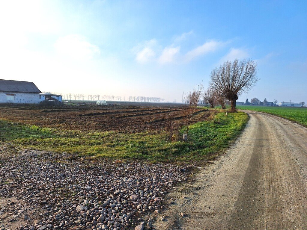 Działka budowlana na sprzedaż Czerlejno, Wierzbowa  1 011m2 Foto 6