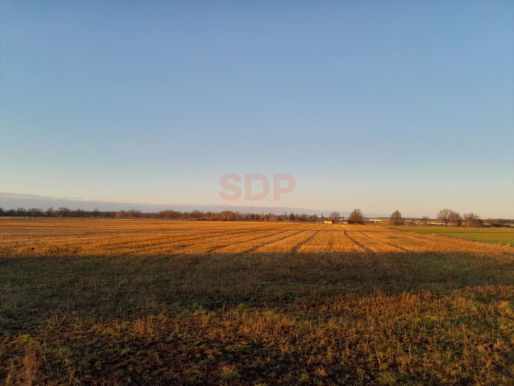 Działka rolna na sprzedaż Brzeg Dolny, Średzka  10 900m2 Foto 4