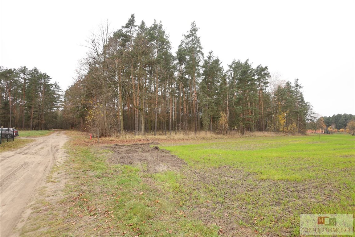 Przestronna działka pod lasem, 14 arów, spokój i prywatność Szczedrzyk  1 404m2 Foto 1
