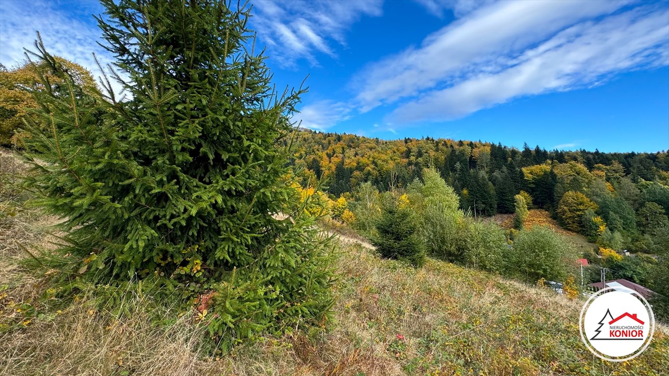 Działka budowlana na sprzedaż Szczyrk, Biła  2 914m2 Foto 7