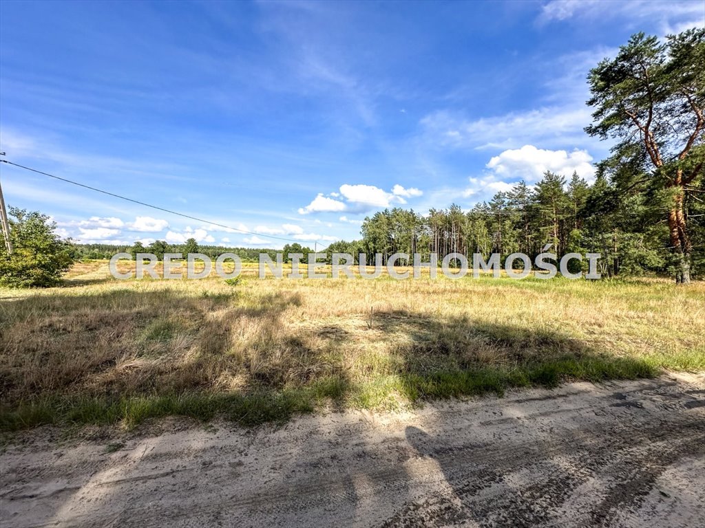 Działka rolna na sprzedaż Jedwabno  3 000m2 Foto 5