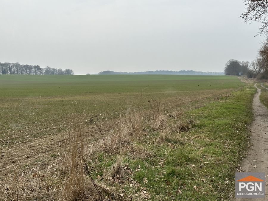 Działka rolna 27 234 m² przy rzece Dziwnej, szer. 95 m Chrząszczewo  27 234m2 Foto 1