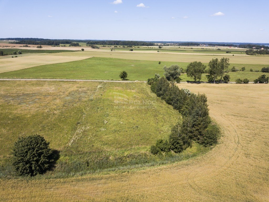 Działka budowlana na sprzedaż Koziki  2 231m2 Foto 6