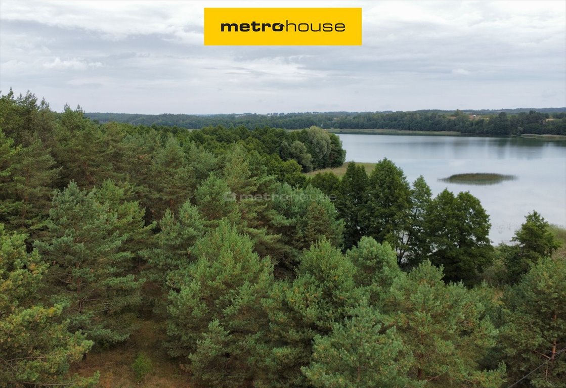 Działka rekreacyjna na sprzedaż Rybno  9 805m2 Foto 1