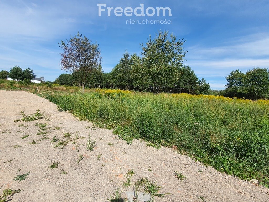 Działka budowlana na sprzedaż Dębe Wielkie, Nadrzeczna  1 125m2 Foto 3