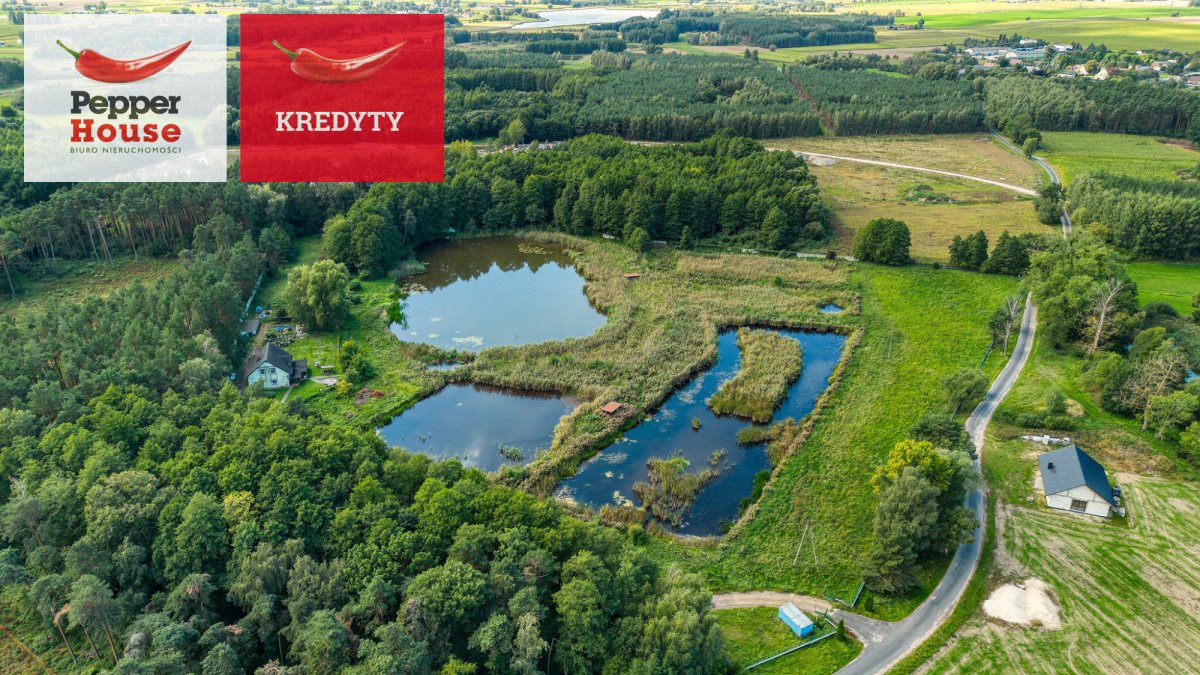 Na sprzedaż działka 43 800 m² z trzema stawami i domem w Barcinie Barcin  43 800m2 Foto 1
