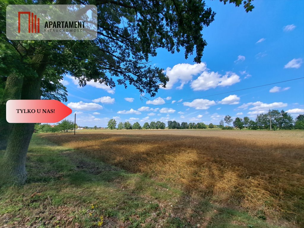 Działka w Małych Rudach z decyzją o zabudowie (las, Noteć) Małe Rudy  1 046m2 Foto 1