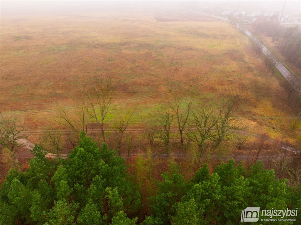 Działka inna na sprzedaż Nowogard, obrzeża  8 137m2 Foto 8