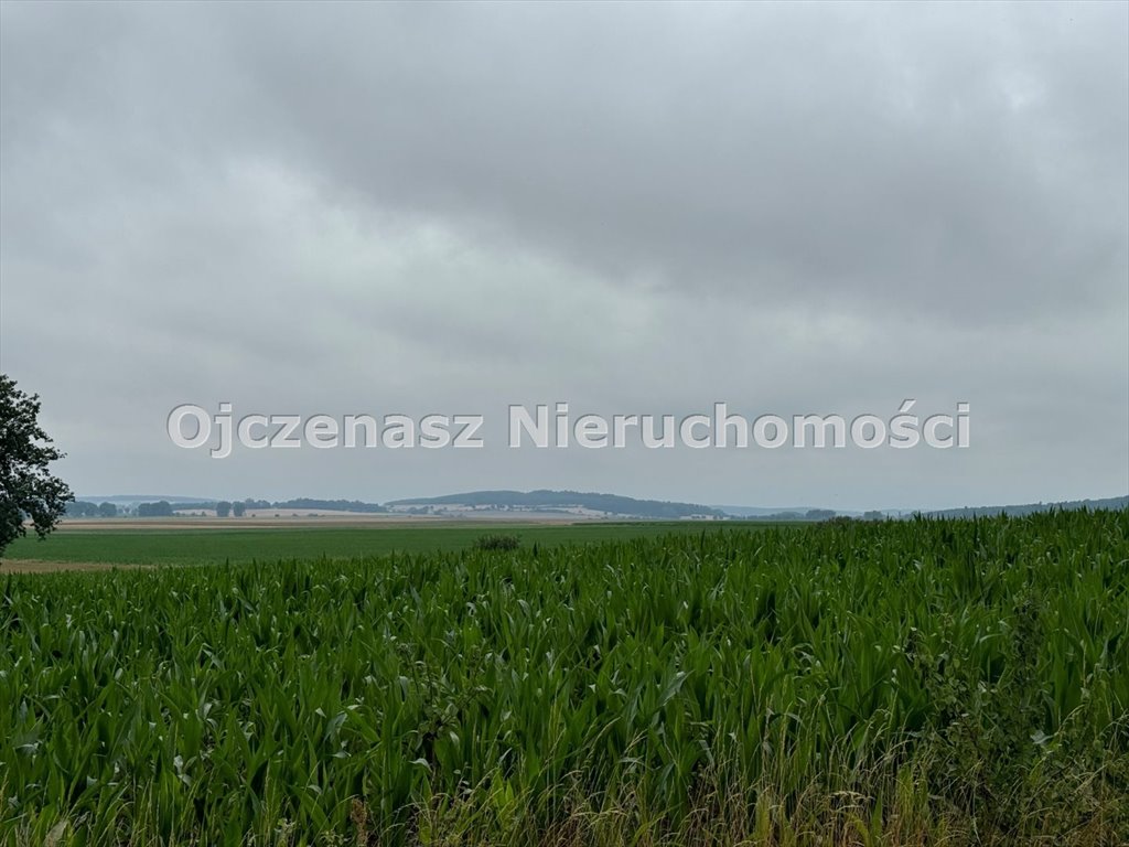 Działka 3017 m² w Niemczu z warunkami zabudowy - polecam! Niemcz  3 017m2 Foto 1