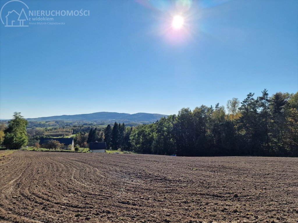 Działka budowlana na sprzedaż Błażkowa  2 200m2 Foto 8