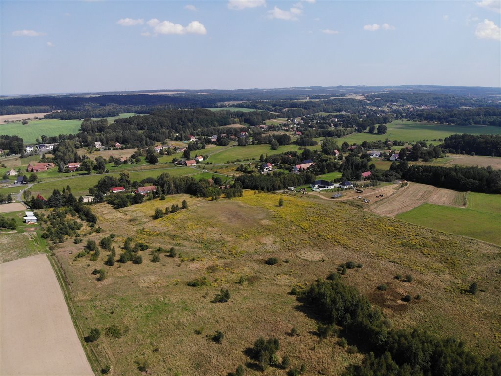 Działka budowlana na sprzedaż Olszyna Dolna  1 403m2 Foto 5