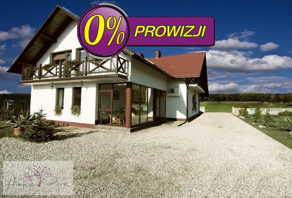 Lokal użytkowy na sprzedaż Dłutów, Dłutówek  300m2 Foto 1