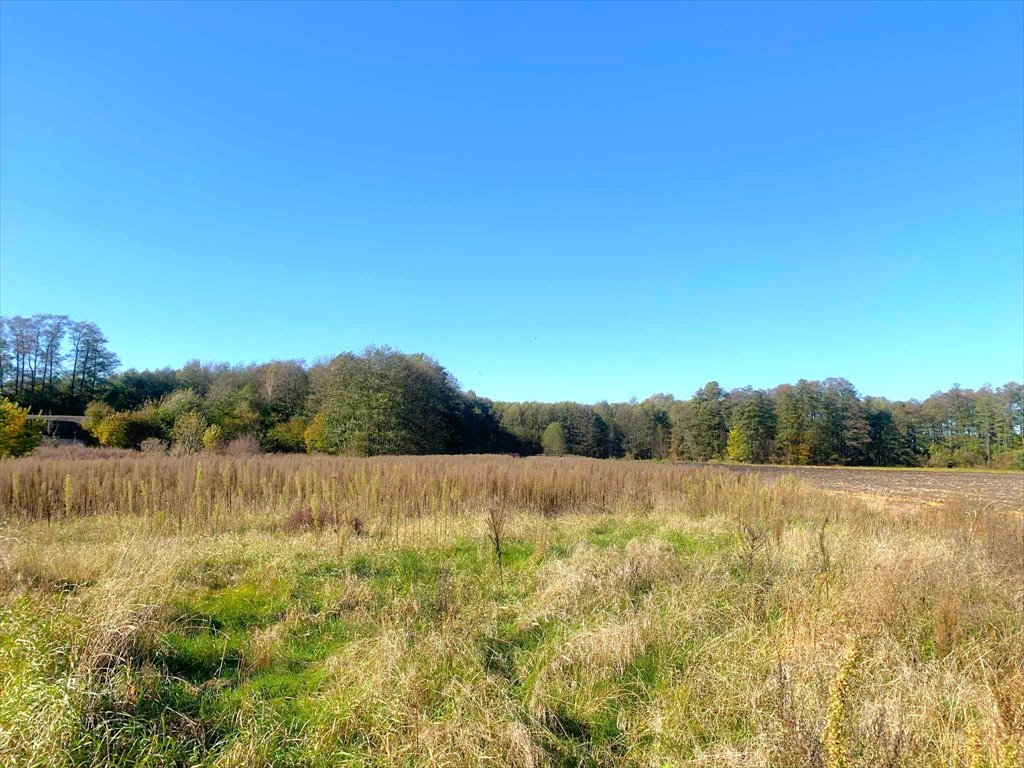 Działka 79 arów w pięknej okolicy lasów i pól Nowe Paprockie Holendry, Nowe Paprockie Holendry  3 100m2 Foto 1