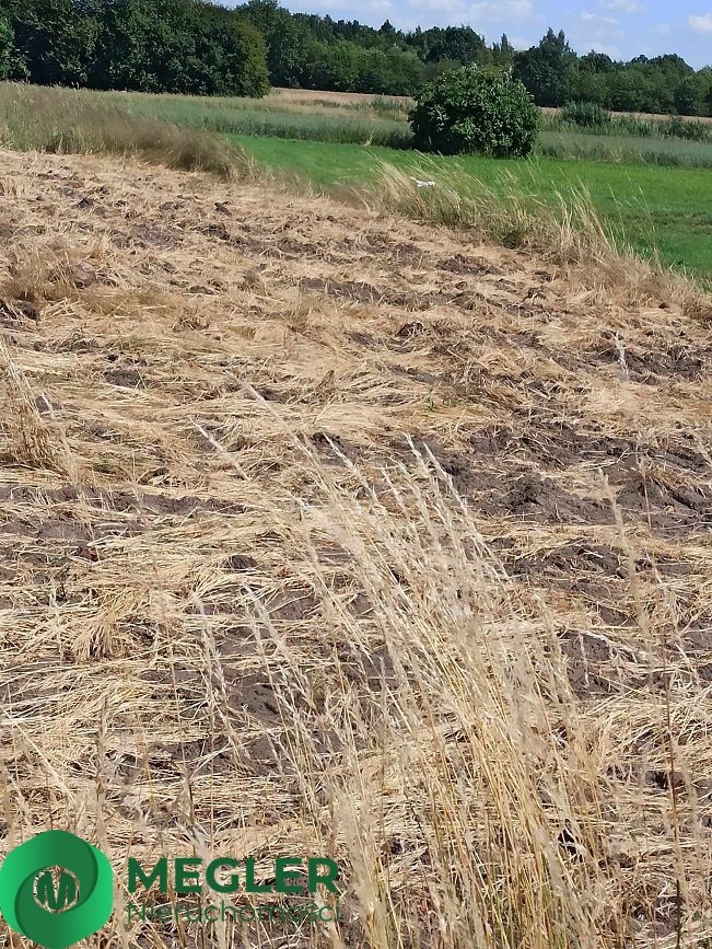 Działka budowlana na sprzedaż Chrzanów Mały  1 610m2 Foto 5