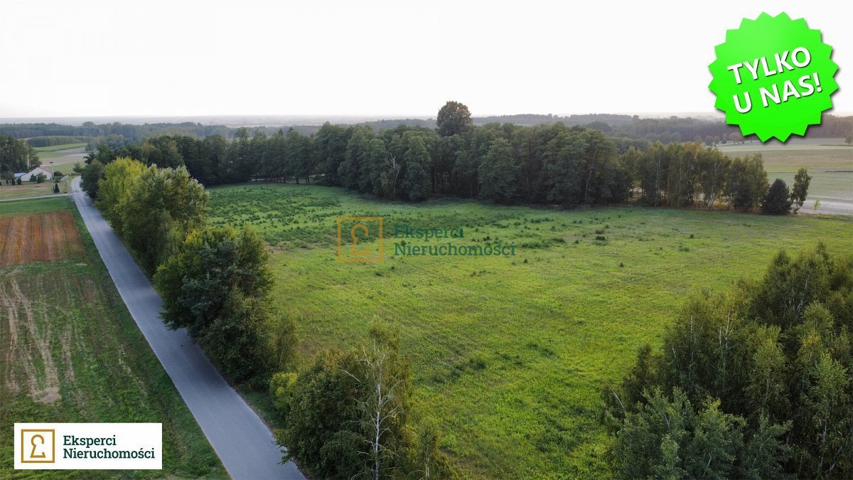 Działka rolna 3,17 ha z dostępem do dróg asfaltowych Kustrawa  31 770m2 Foto 1