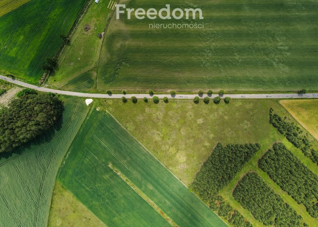 Działka budowlana na sprzedaż Grzybowo  10 449m2 Foto 1