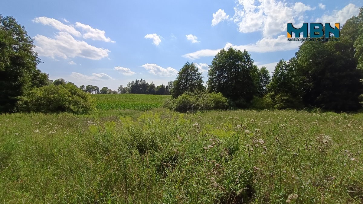 Działka rolna na sprzedaż Pozezdrze, Pieczarki  1 300m2 Foto 14