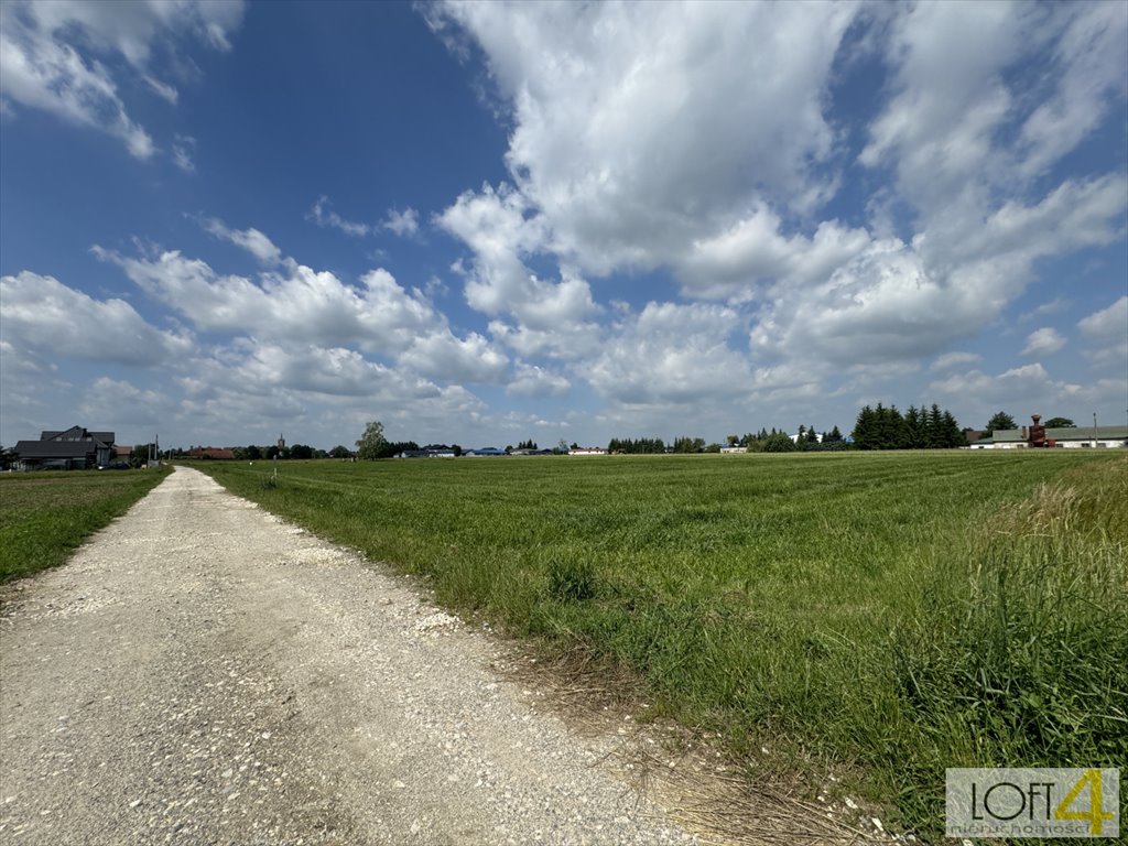 Działka budowlana na sprzedaż Borzęcin  2 600m2 Foto 8