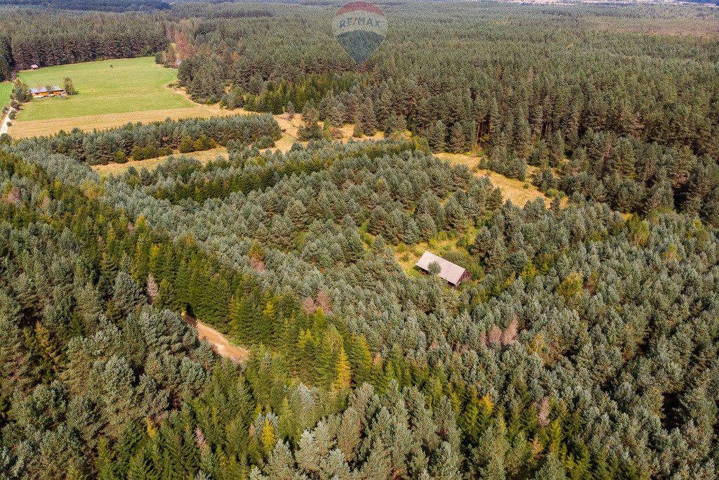 Działka rolna na sprzedaż Jabłonka, Leśna  20 000m2 Foto 17