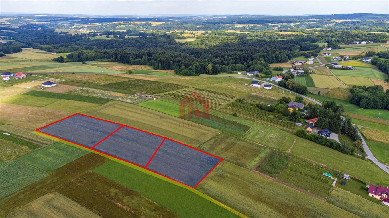 Działka budowlana na sprzedaż Broniszów  3 100m2 Foto 6