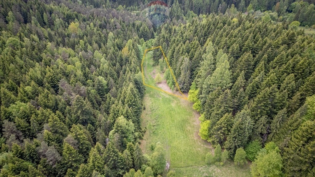 Działka w Krzeszowie otoczona lasem, prywatność i cisza Krzeszów  1 417m2 Foto 1