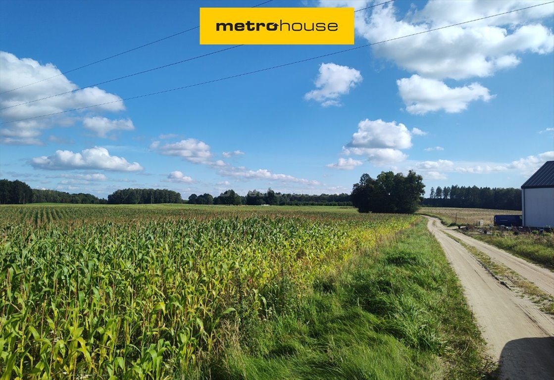 Działka budowlana na sprzedaż Urowo  25 800m2 Foto 1