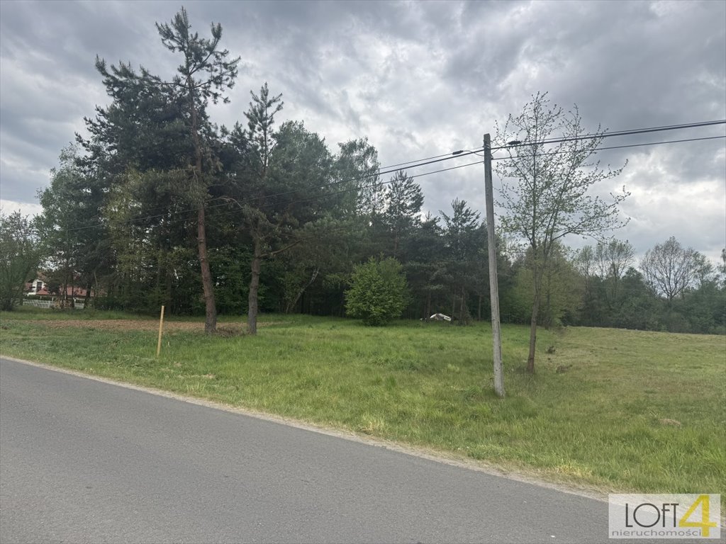 Polecam działkę 1,38 ha z lasem i warunkami zabudowy Szarwark  13 831m2 Foto 1