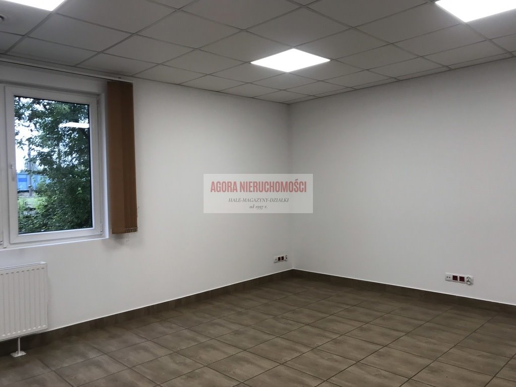 Magazyn na wynajem Kraków, Rybitwy, Rybitwy  1 274m2 Foto 11