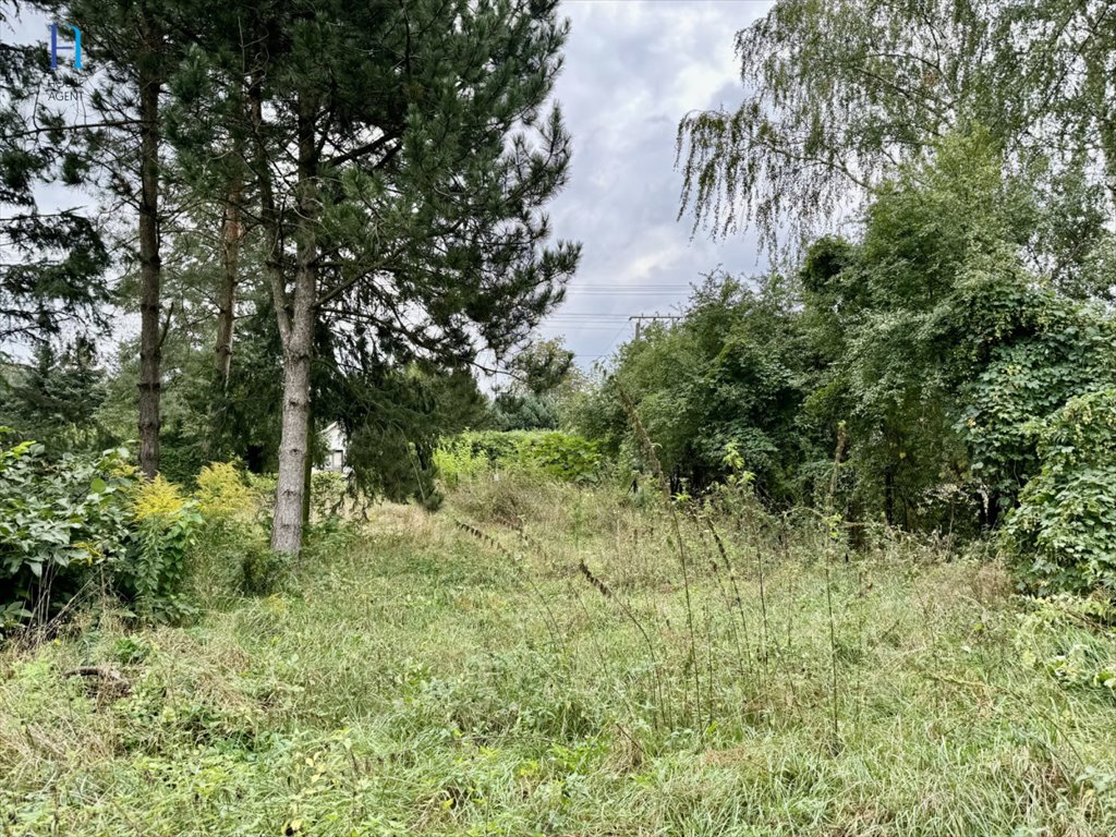 Działka budowlana na sprzedaż Kazimierz, Spacerowa  1 380m2 Foto 2