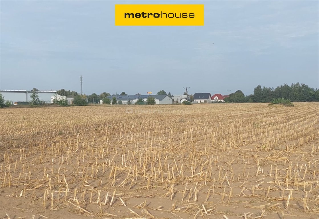 Na sprzedaż działki inwestycyjne przy DK10 z WZ i potencjałem Głogowo, Warszawska  4 500m2 Foto 1