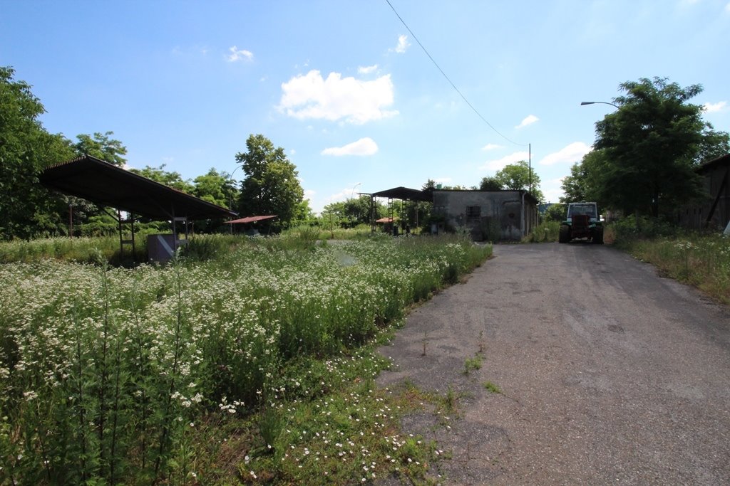 Lokal użytkowy na sprzedaż Radymno  5 100m2 Foto 14