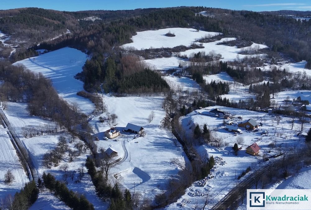 Działka inwestycyjna na sprzedaż Stężnica  102 500m2 Foto 6