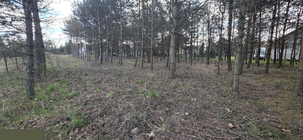 Działka budowlana na sprzedaż Zawiercie, Winna  1 007m2 Foto 8
