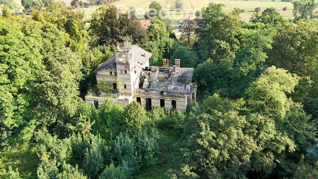 Lokal użytkowy na sprzedaż Jeziorno  900m2 Foto 3