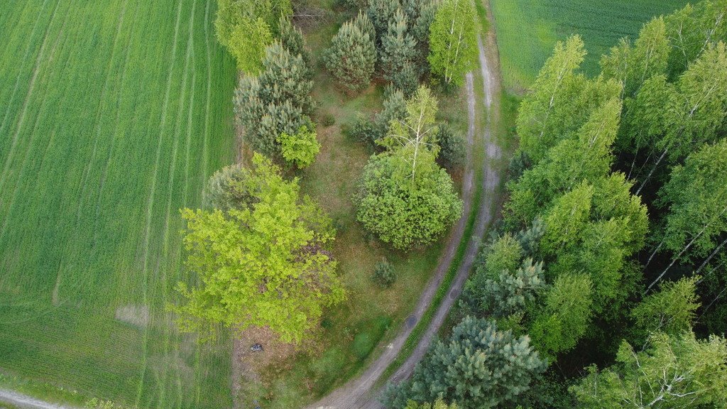 Działka 1,63 ha z lasami i gruntami ornymi, dojazd utwardzony Karolów  16 300m2 Foto 1