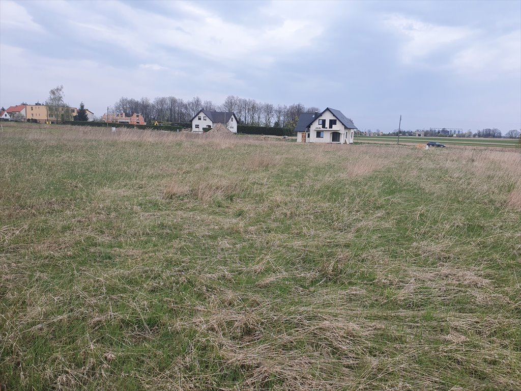 Zdjęcie 8