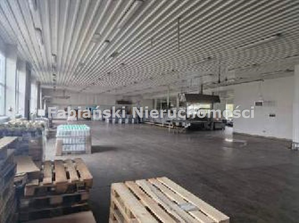 Lokal użytkowy na sprzedaż Łubnica  21 361m2 Foto 19