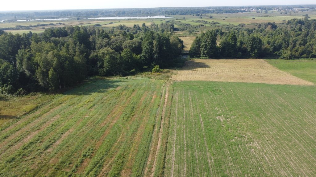 Działka 1,84 ha z budowlanym 78 arami - media w drodze Żminne  18 400m2 Foto 1