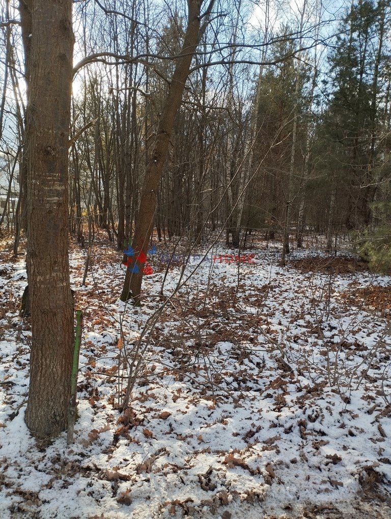 Działka budowlana na sprzedaż Konstancin-Jeziorna  500m2 Foto 1