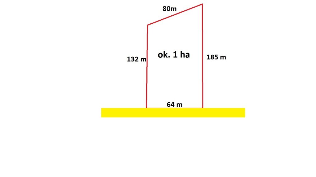 Do sprzedania inwestycyjna działka 1 ha z mediami w Krzemienicy Krzemienica  10 000m2 Foto 1