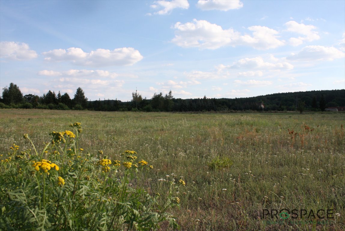 Działka gospodarstwo rolne na sprzedaż Przytok  3 000m2 Foto 1